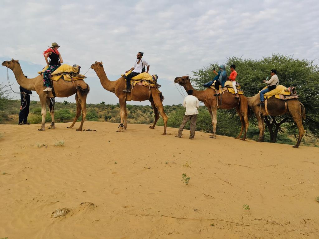 camel ride in jodhpur dessert