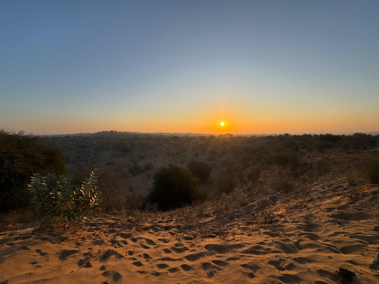 jodhpur desert
