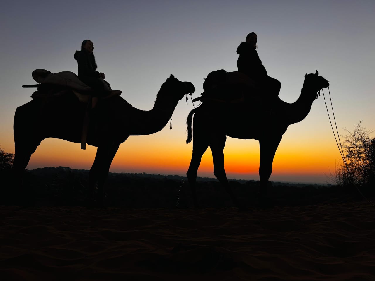 camel safari in desert