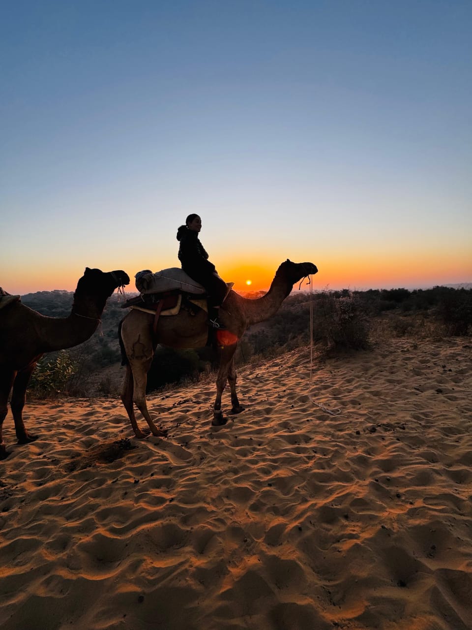 camel ride on sumset in osian desert