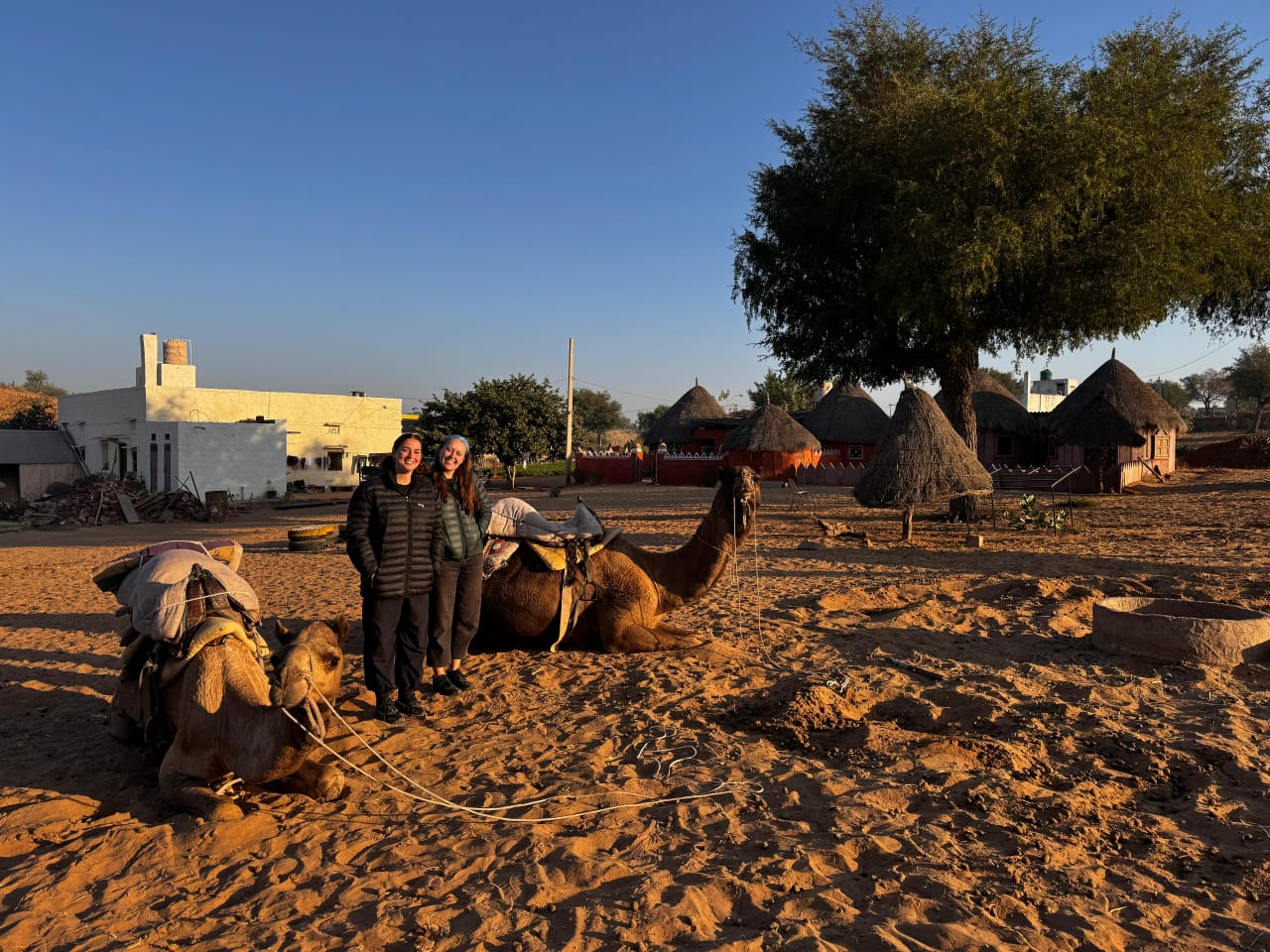 camel in osian homestay