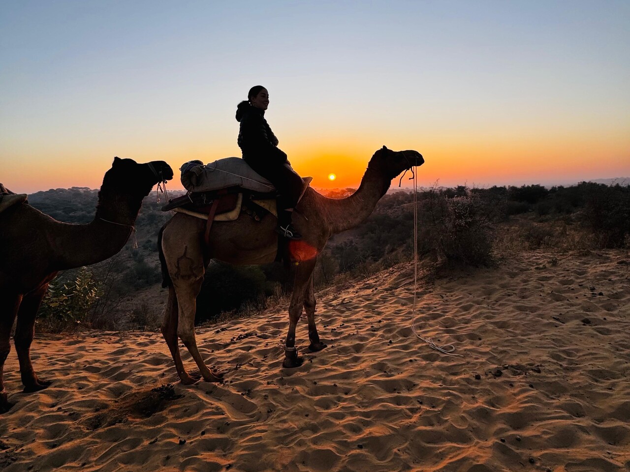 camel ride in jodhpur desert
