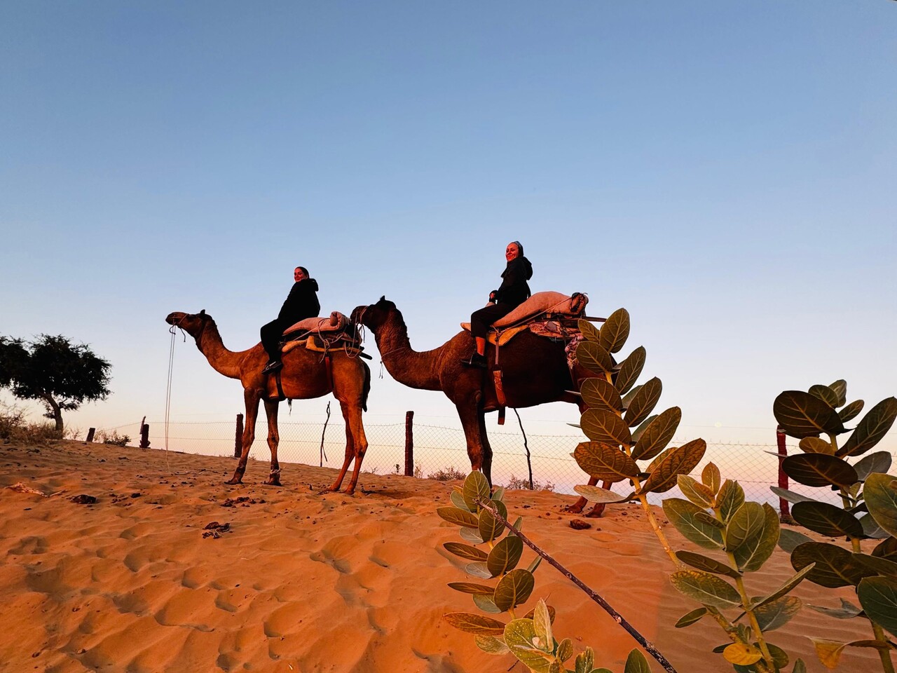 camel safari in homestay near jodhpur