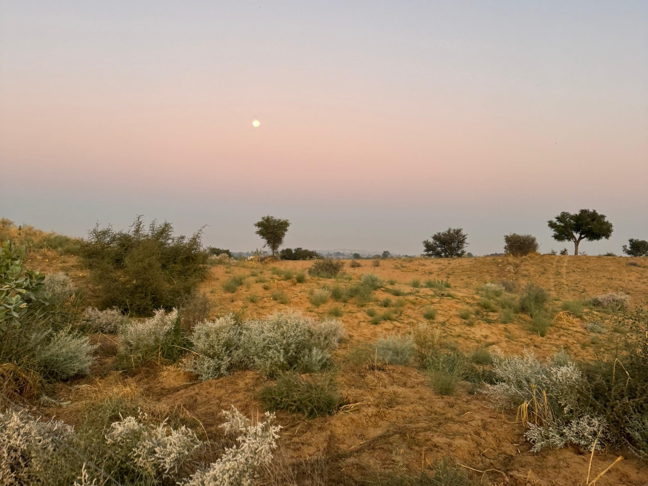 landscape on osian desert, near jodhpur
