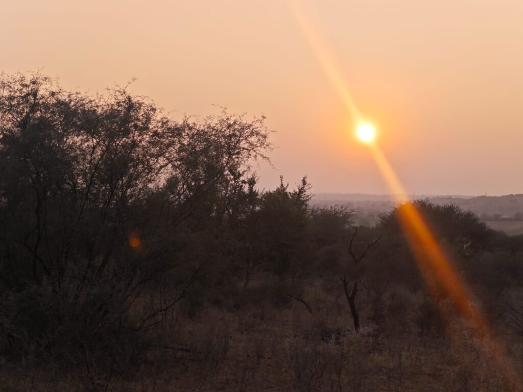 sunset on osian desert near to jodhpur